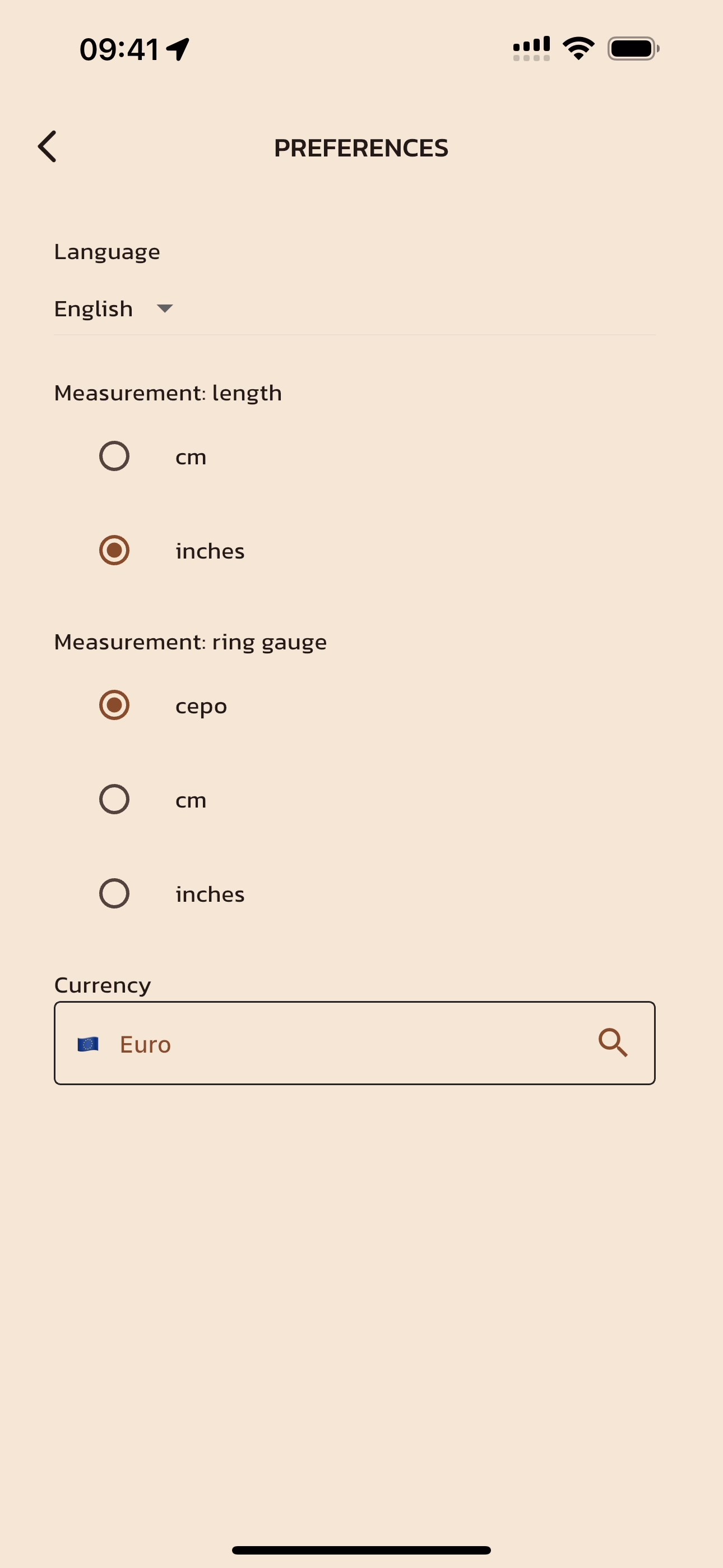 Settings Interface